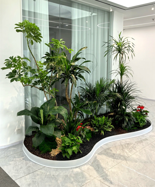 江北绿植租赁经验-慈溪绿植租摆装饰效果-镇海花卉租赁合同范本-宁波花木店